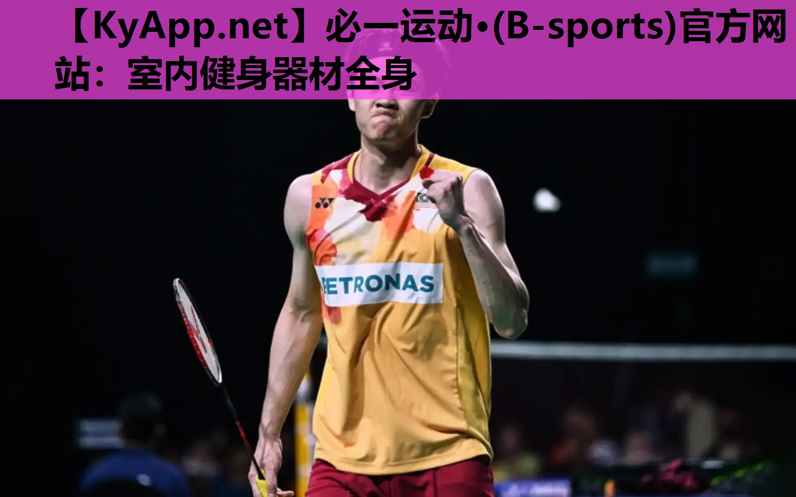 必一运动·(B-sports)官方网站：室内健身器材全身