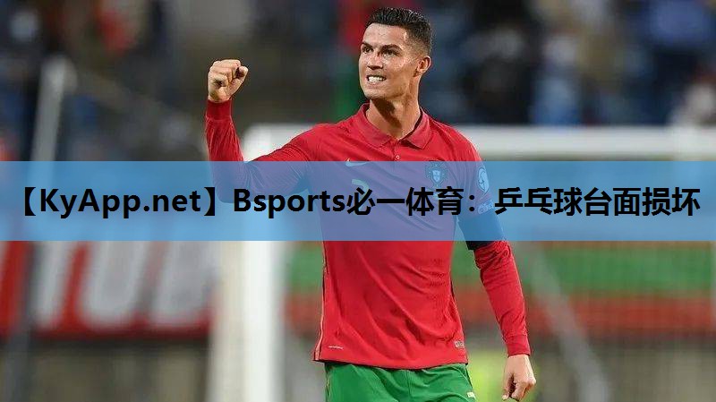 Bsports必一体育：乒乓球台面损坏