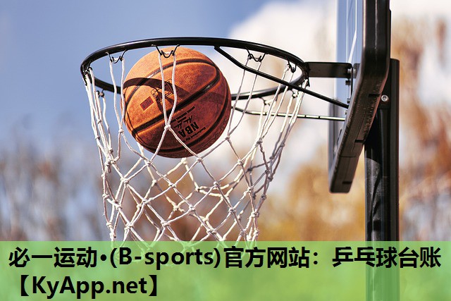 必一运动·(B-sports)官方网站：乒乓球台账