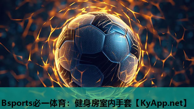 Bsports必一体育：健身房室内手套