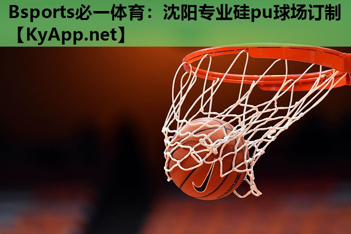 Bsports必一体育：沈阳专业硅pu球场订制