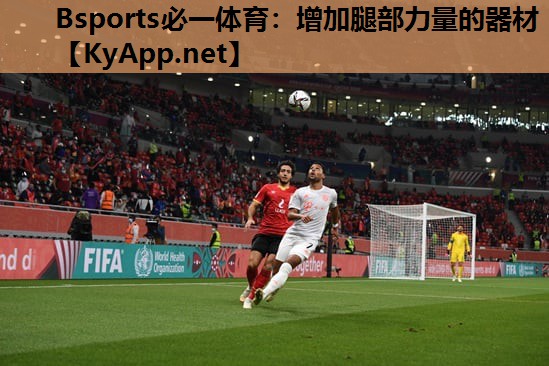 Bsports必一体育：增加腿部力量的器材