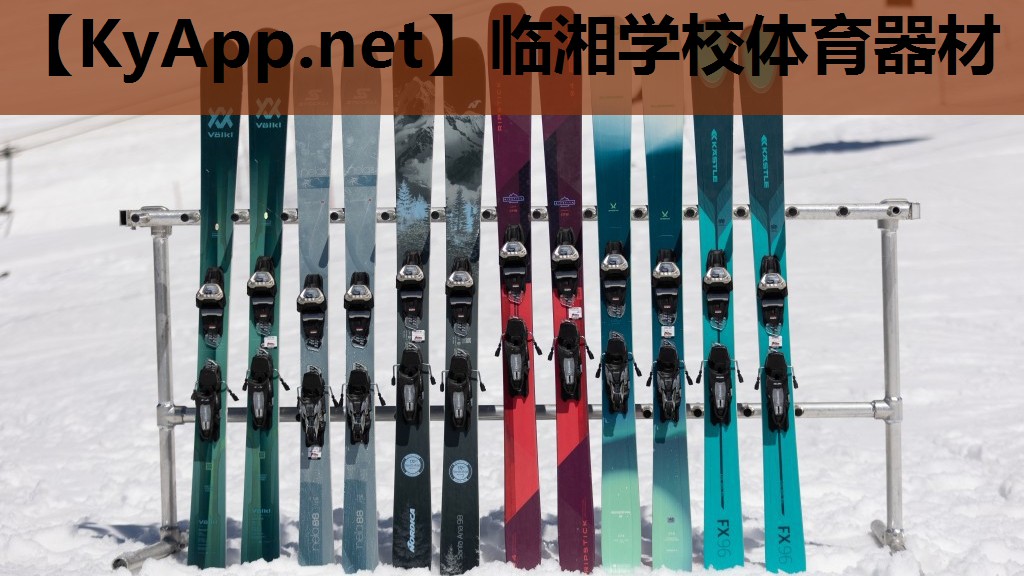 临湘学校体育器材