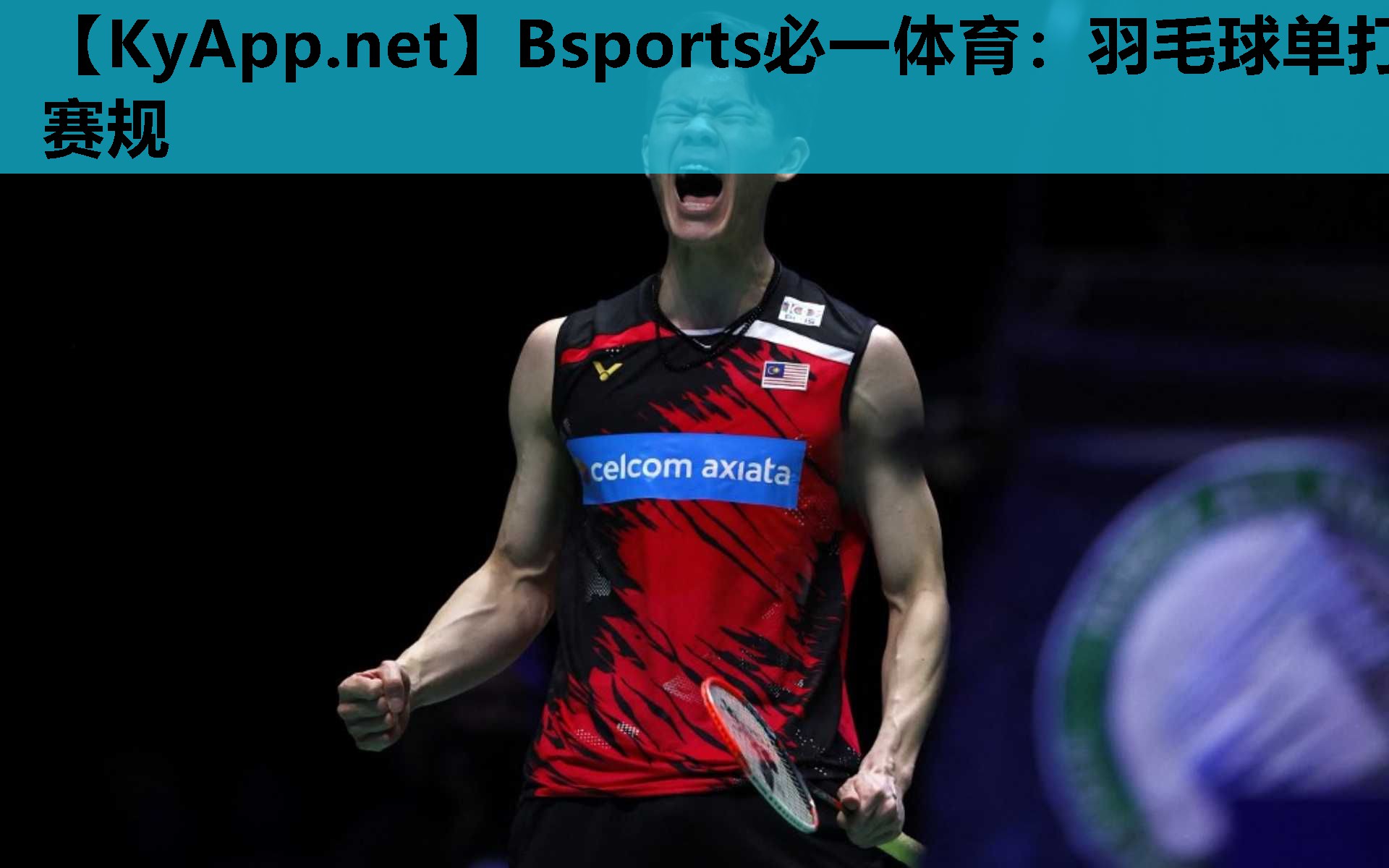 Bsports必一体育：羽毛球单打赛规