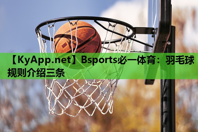 Bsports必一体育：羽毛球规则介绍三条